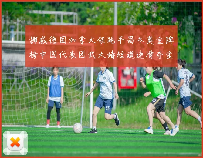 挪威德国加拿大领跑平昌冬奥金牌榜中国代表团武大靖短道速滑夺金