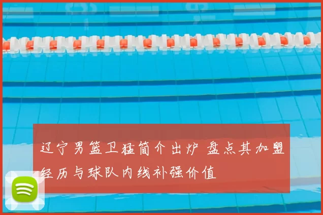 辽宁男篮卫猛简介出炉 盘点其加盟经历与球队内线补强价值